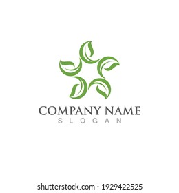 Logos of green Tree leaf ecology nature element vector