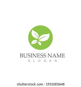 Logos of green Tree leaf ecology nature element vector