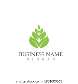 Logotipos de ecología de hoja de árbol verde elemento de naturaleza vector