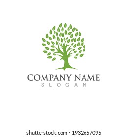 Logos of green Tree leaf ecology nature element vector