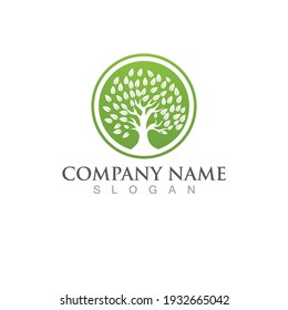 Logos of green Tree leaf ecology nature element vector