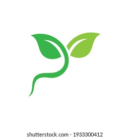 Logos of green Tree leaf ecology nature element vector