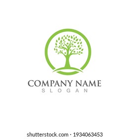 Logos of green Tree leaf ecology nature element vector