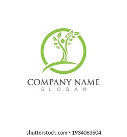 Logos von grünen Baumblätterökologie, Naturelement Vektorgrafik