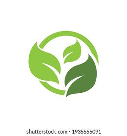 Logotipos de ecología de hoja de árbol verde elemento de naturaleza vector