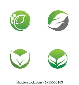 Logos of green Tree leaf ecology nature element vector