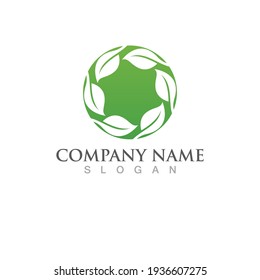 Logos of green Tree leaf ecology nature element vector