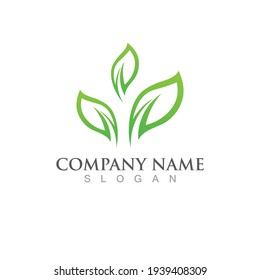 Logotipos de ecología de hoja de árbol verde elemento de naturaleza vector