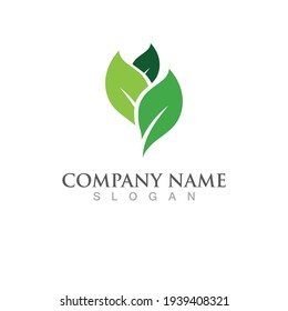 Logos of green Tree leaf ecology nature element vector