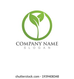 Logos of green Tree leaf ecology nature element vector