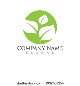 Logos of green Tree leaf ecology nature element vector