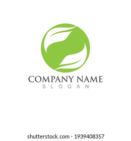 Logos of green Tree leaf ecology nature element vector
