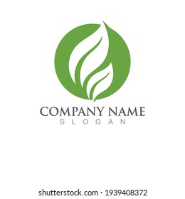 Logos of green Tree leaf ecology nature element vector