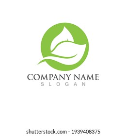 Logos of green Tree leaf ecology nature element vector