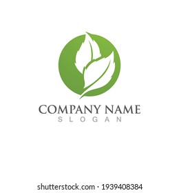 Logos of green Tree leaf ecology nature element vector