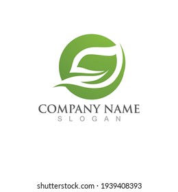 Logos of green Tree leaf ecology nature element vector