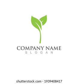 Logos of green Tree leaf ecology nature element vector