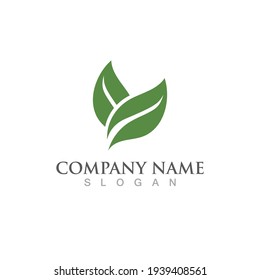 Logos of green Tree leaf ecology nature element vector