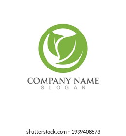 Logos of green Tree leaf ecology nature element vector