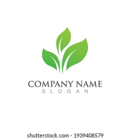 Logos of green Tree leaf ecology nature element vector