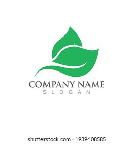 Logotipos de ecología de hoja de árbol verde elemento de naturaleza vector