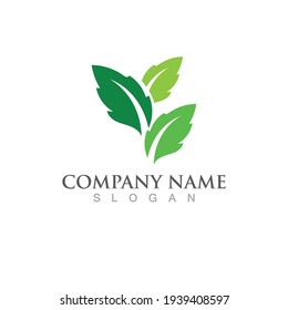 Logos of green Tree leaf ecology nature element vector