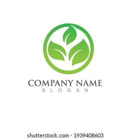 Logos of green Tree leaf ecology nature element vector