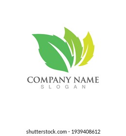 Logos of green Tree leaf ecology nature element vector