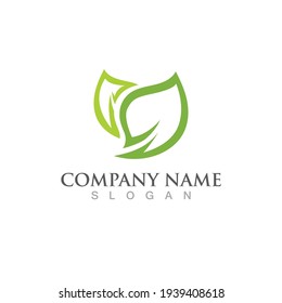 Logotipos de ecología de hoja de árbol verde elemento de naturaleza vector