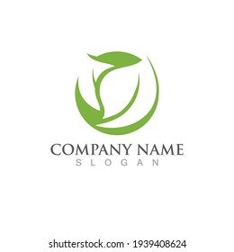 Logos of green Tree leaf ecology nature element vector