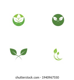 Logos of green Tree leaf ecology nature element vector