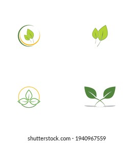 Logos of green Tree leaf ecology nature element vector