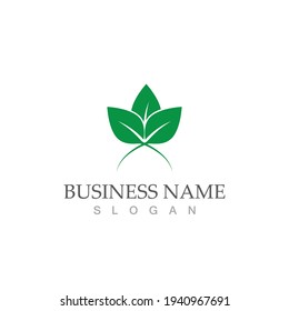 Logotipos de ecología de hoja de árbol verde elemento de naturaleza vector