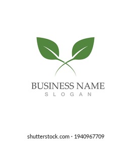 Logos of green Tree leaf ecology nature element vector