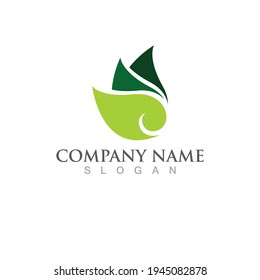 Logos of green Tree leaf ecology nature element vector
