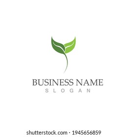 Logos of green Tree leaf ecology nature element vector