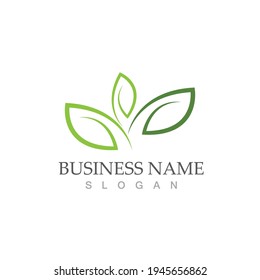 Logos of green Tree leaf ecology nature element vector