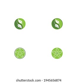Logos of green Tree leaf ecology nature element vector