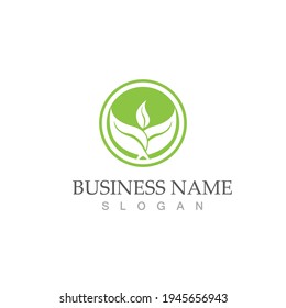 Logotipos de ecología de hoja de árbol verde elemento de naturaleza vector