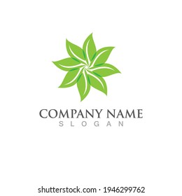 Logos of green Tree leaf ecology nature element vector