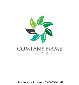 Logos of green Tree leaf ecology nature element vector