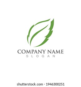 Logos of green Tree leaf ecology nature element vector