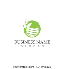 Logos of green Tree leaf ecology nature element vector