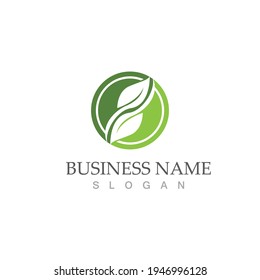 Logos of green Tree leaf ecology nature element vector