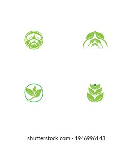 Logos of green Tree leaf ecology nature element vector
