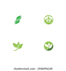 Logotipos de ecología de hoja de árbol verde elemento de naturaleza vector