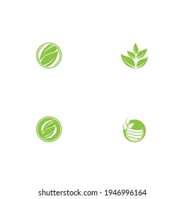 Logos of green Tree leaf ecology nature element vector