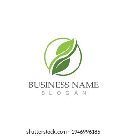 Logos of green Tree leaf ecology nature element vector