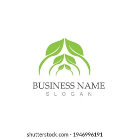 Logos of green Tree leaf ecology nature element vector