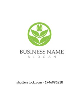 Logos of green Tree leaf ecology nature element vector